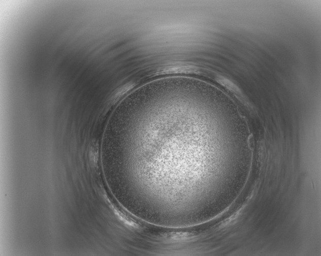 X0000067900841200604171401