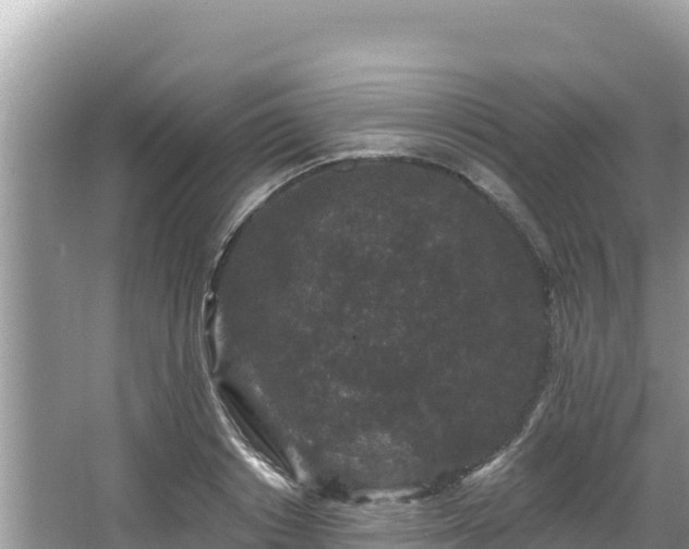 X0000067900842200604171401