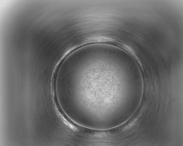 X0000067900843200604171401