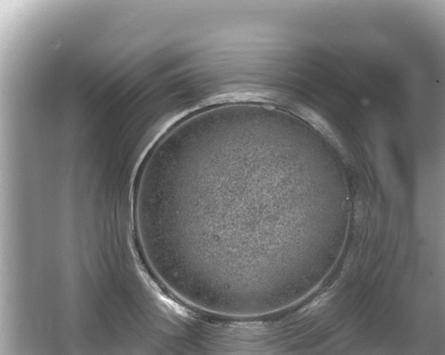 X0000067900844200604171401