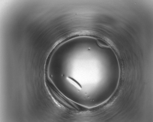 X0000067900845200604171401