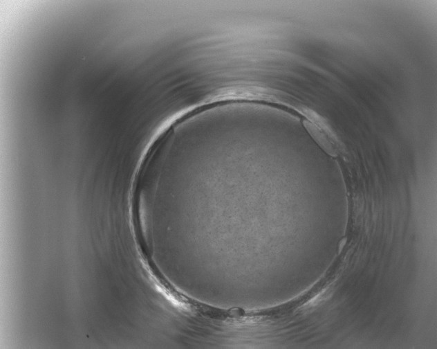 X0000067900846200604171401