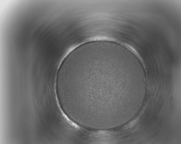 X0000067900847200604171401