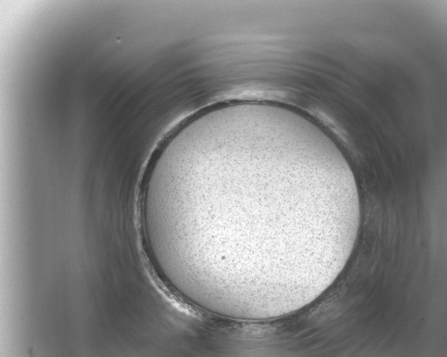 X0000067900848200604171401