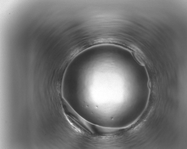 X0000067900849200604171401