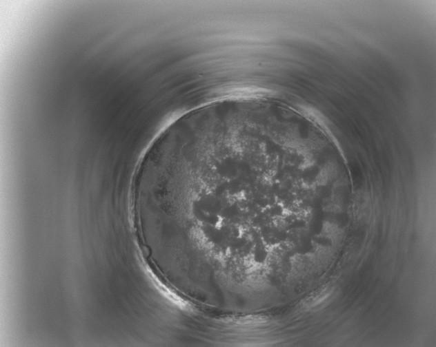 X0000067900851200604171401