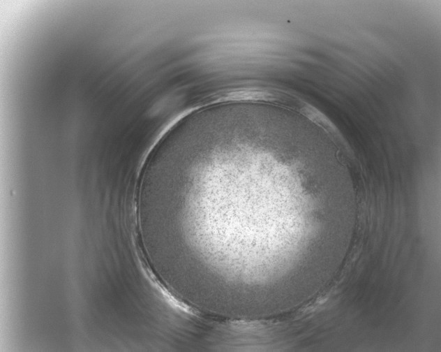 X0000067900852200604171401