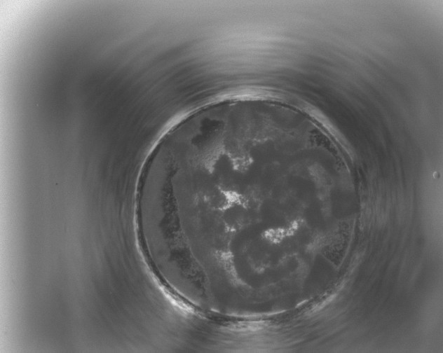 X0000067900853200604171401