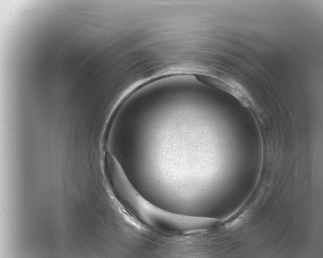 X0000067900854200604171401