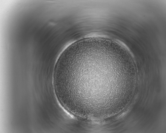 X0000067900855200604171401