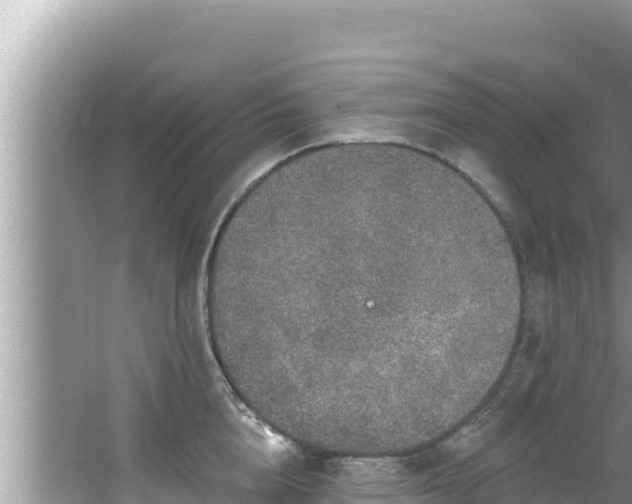 X0000067900856200604171401