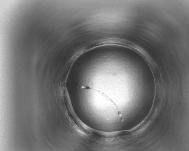 X0000067900857200604171401