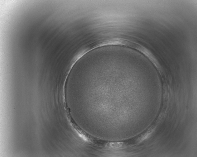 X0000067900858200604171401