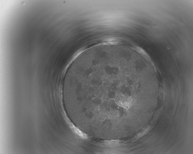 X0000067900859200604171401