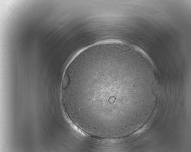 X0000067900860200604171401