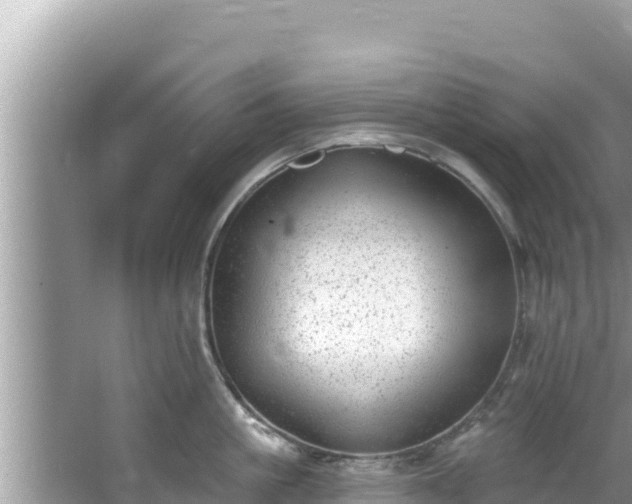 X0000067900861200604171401