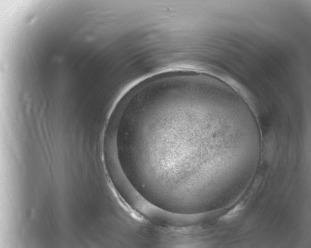 X0000067900862200604171401