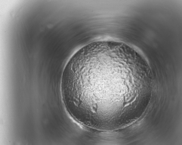 X0000067900863200604171401