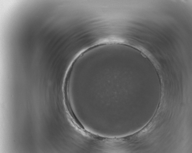 X0000067900864200604171401