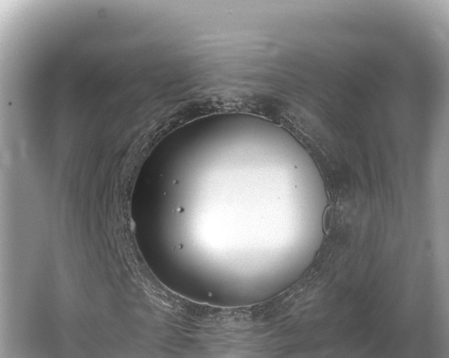 X0000067900865200604171400