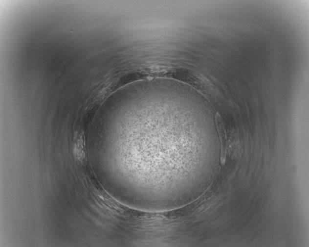 X0000067900866200604171400