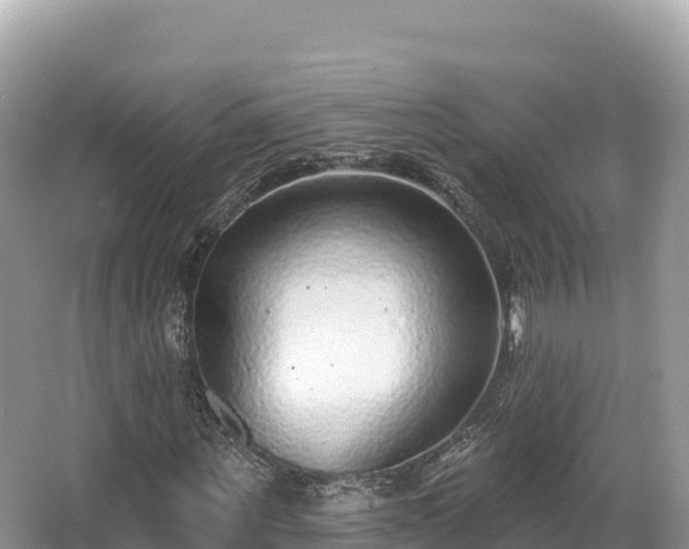 X0000067900867200604171400