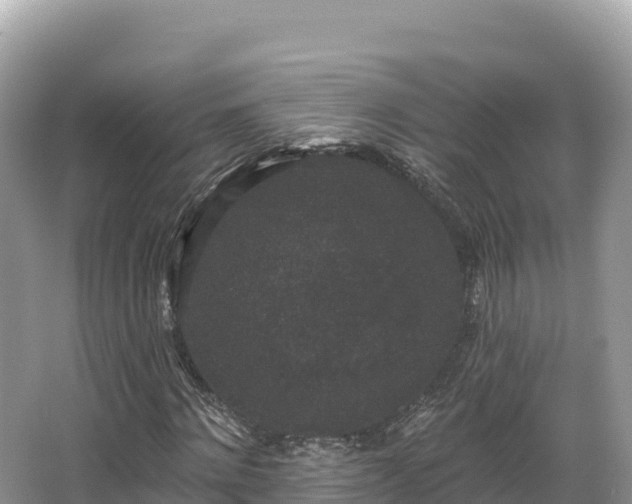 X0000067900868200604171400