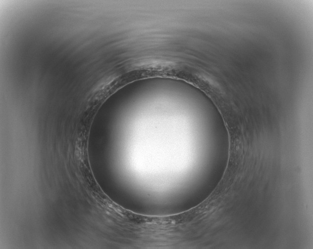 X0000067900869200604171400