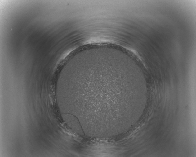 X0000067900871200604171400