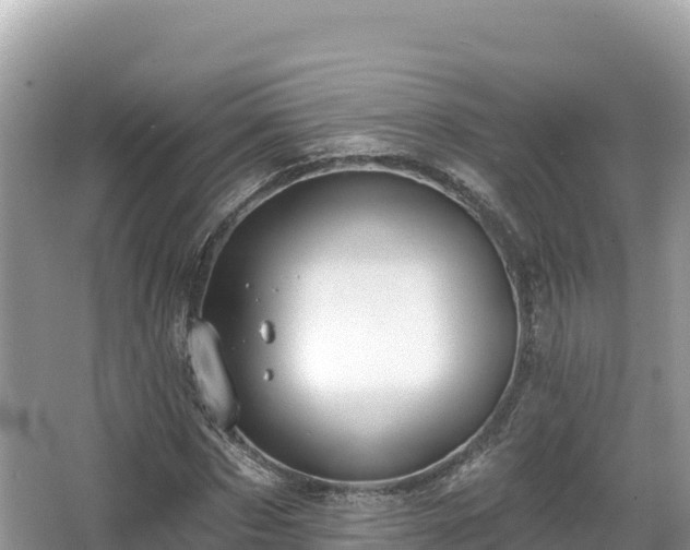 X0000067900873200604171400