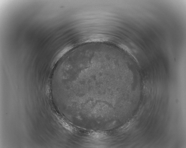 X0000067900874200604171400