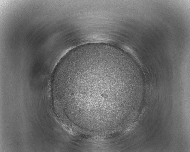 X0000067900875200604171400