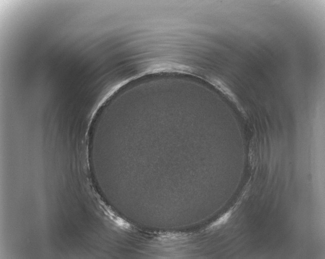 X0000067900877200604171400