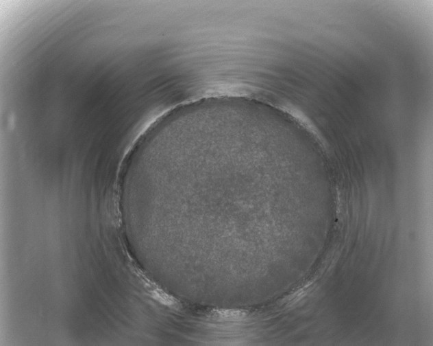 X0000067900878200604171400