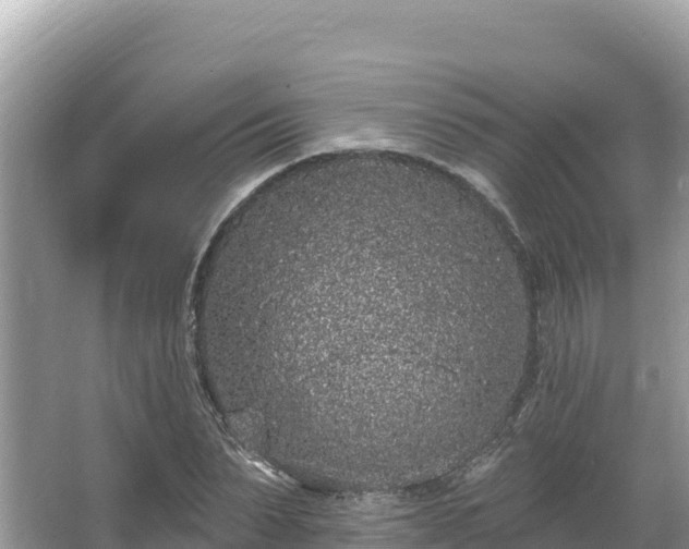 X0000067900879200604171400