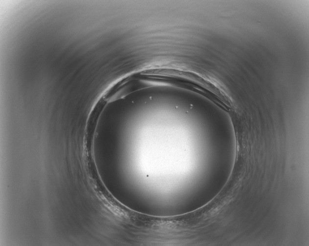 X0000067900880200604171400