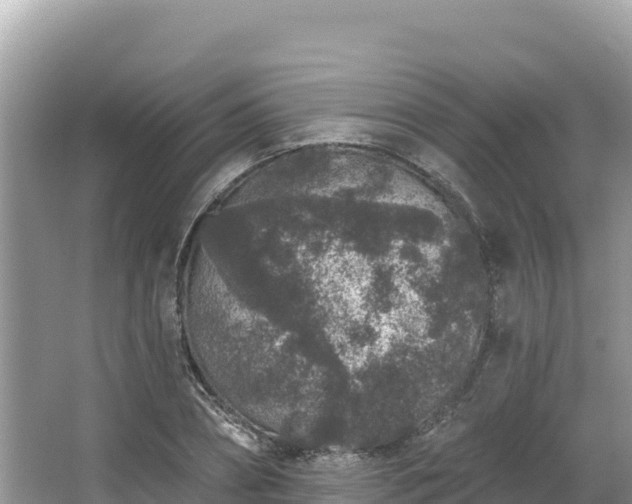 X0000067900882200604171400