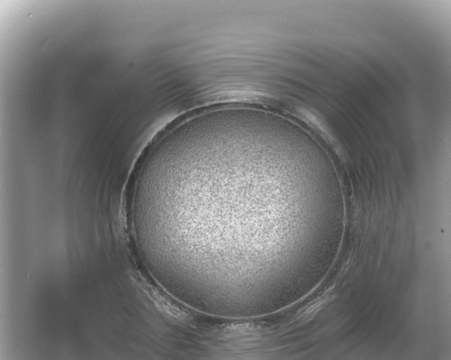 X0000067900883200604171400