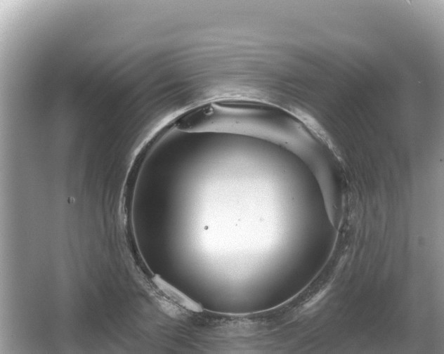 X0000067900885200604171400