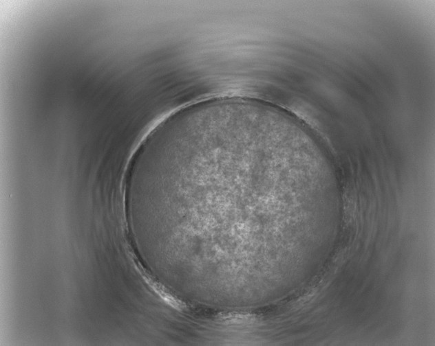 X0000067900886200604171400