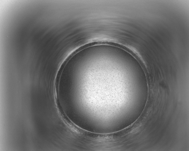 X0000067900887200604171400