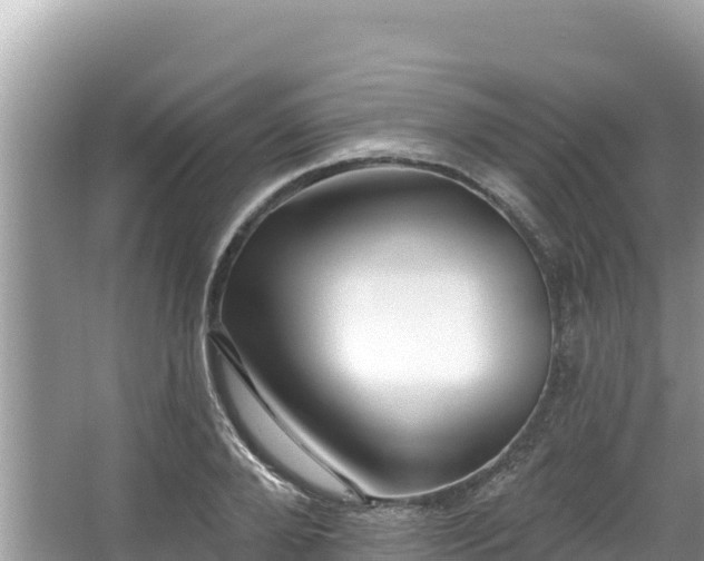 X0000067900888200604171400