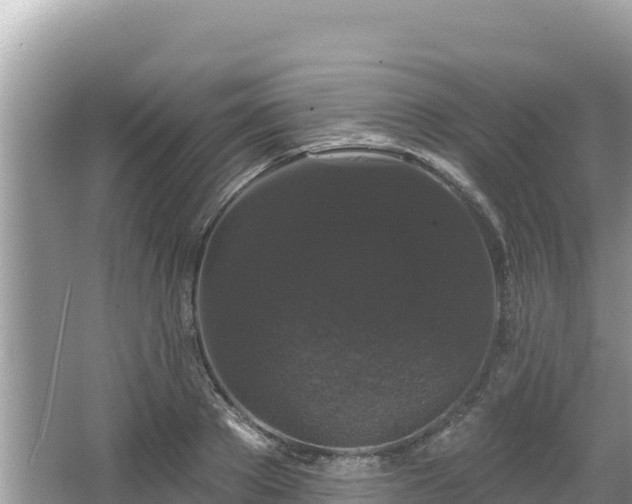 X0000067900889200604171400