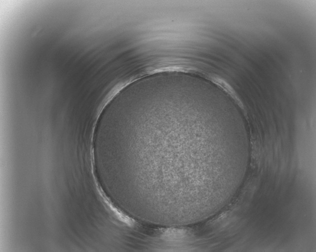 X0000067900890200604171400