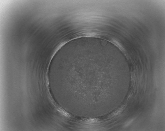 X0000067900891200604171400