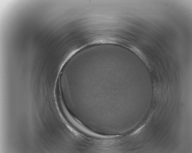 X0000067900893200604171400