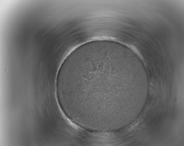 X0000067900895200604171400