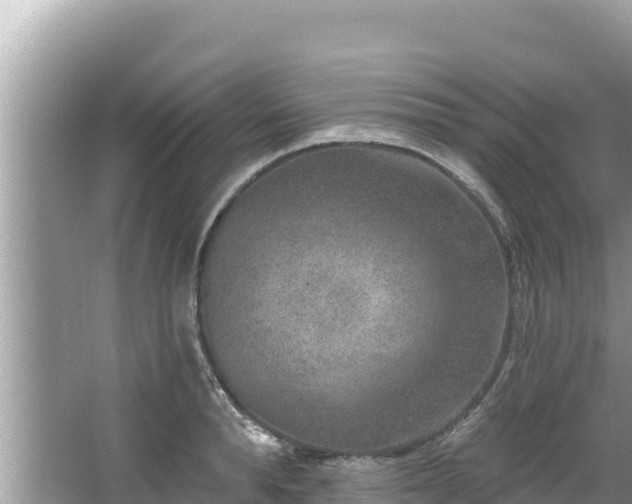 X0000067900896200604171400