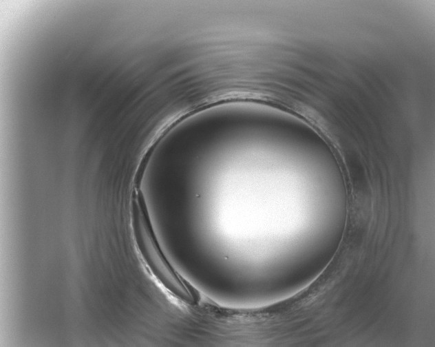 X0000067900898200604171400