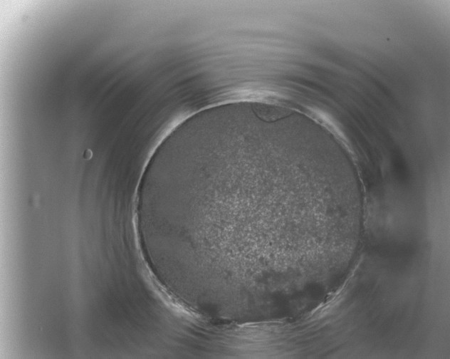 X0000067900899200604171400